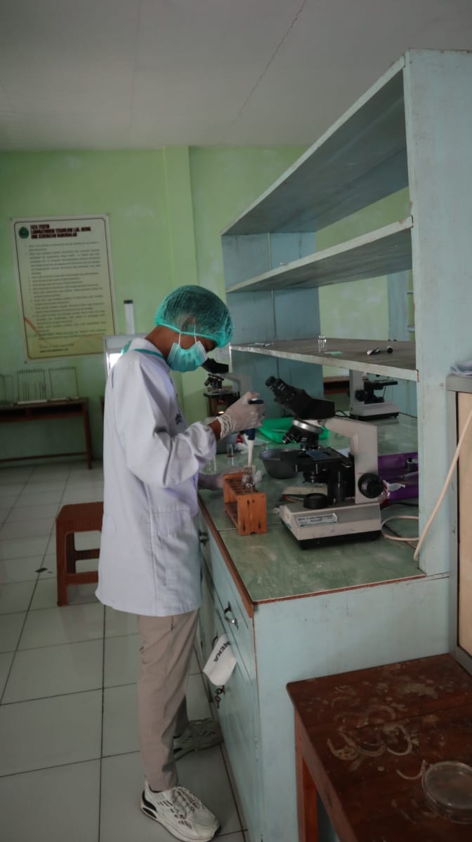 Praktik Pembelajaran pengamatan bakteri menggunakan mikroskop